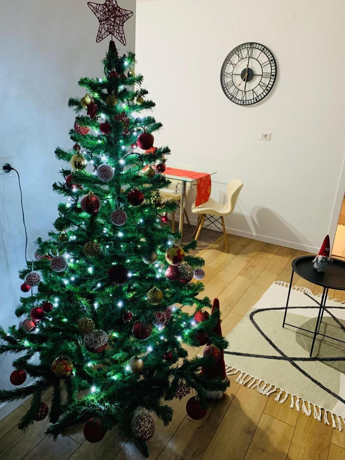 Iris Apartment Piatra Neamt Exterior photo